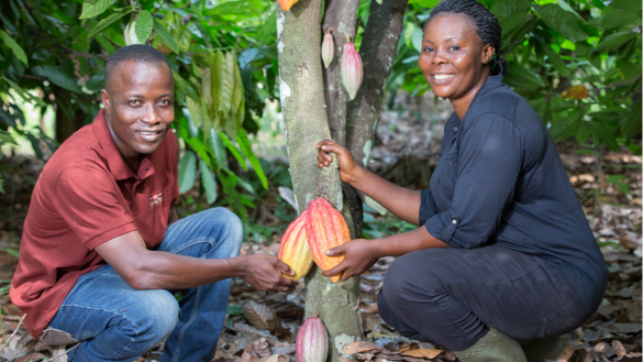 Agroforesterie image